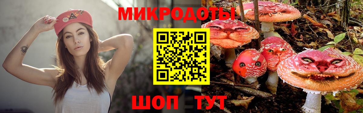 Александров  Галлюциногенные грибы GOLDEN TEACHER  Галлюциногенные грибы MAGIC MUSHROOMS  Вход с VPN 