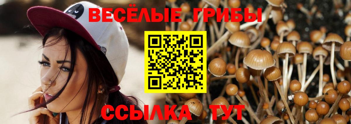 Галлюциногенные грибы мухоморы Александров