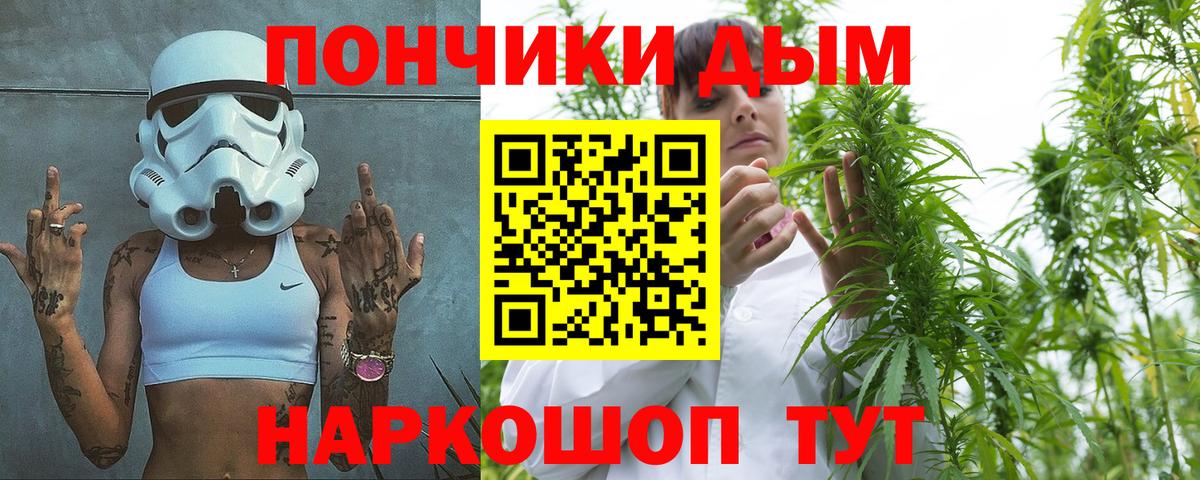 Бошки Шишки марихуана Александров